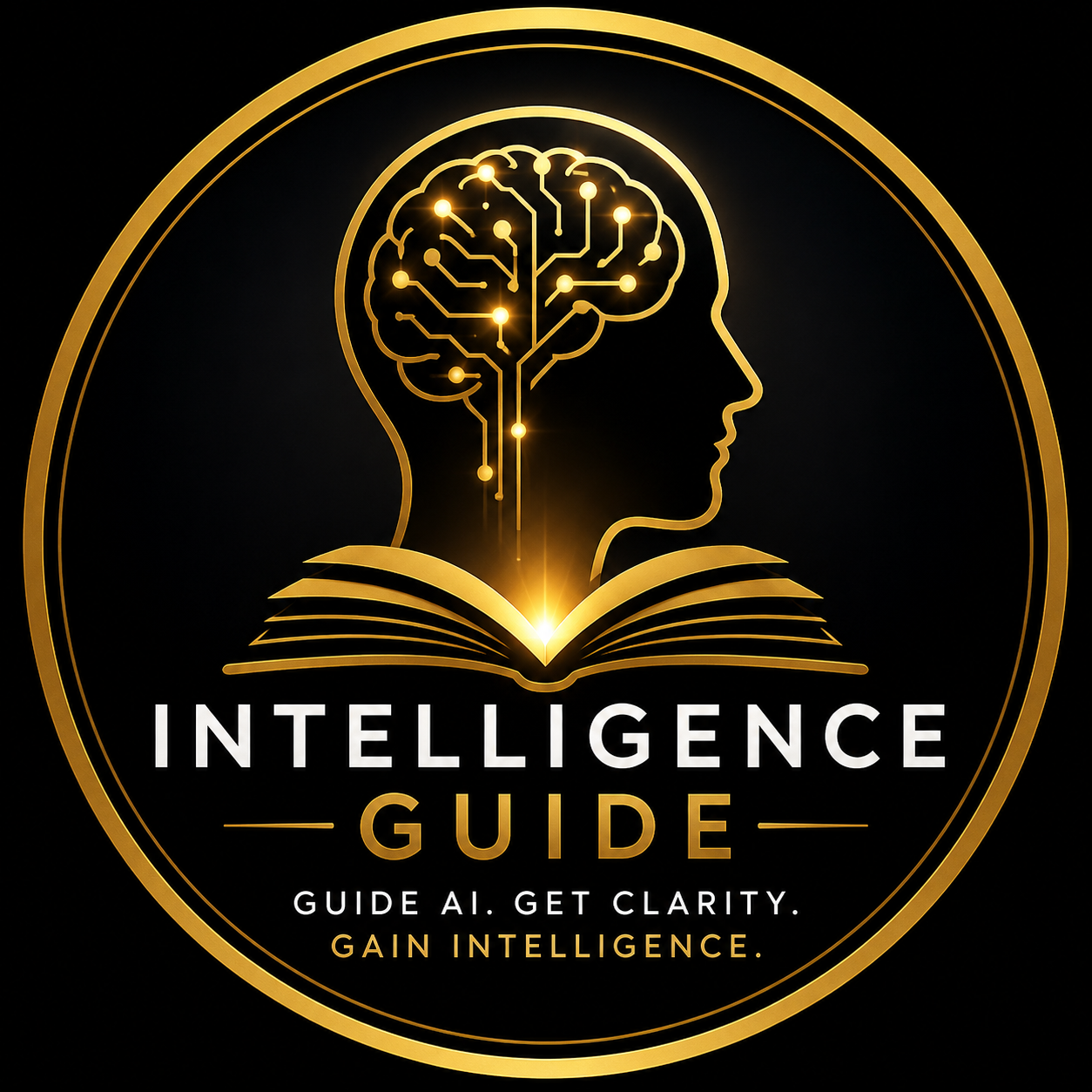 The Guided Intelligence System